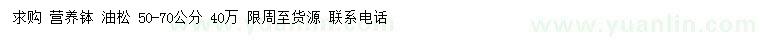 求購50-70公分油松