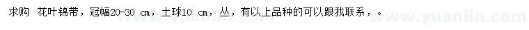 求購冠幅20-30公分花葉錦帶