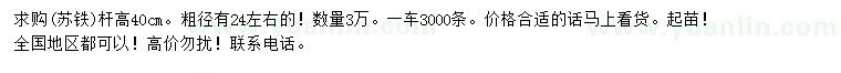 求購桿高40公分蘇鐵