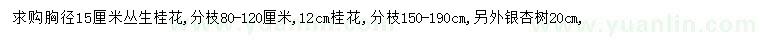 求購12、15公分桂花、20公分銀杏