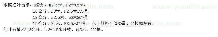 求購(gòu)8、10、12、15公分紅葉石楠