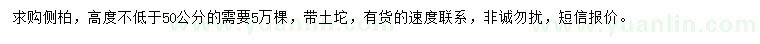 求購高度不低于50公分側(cè)柏