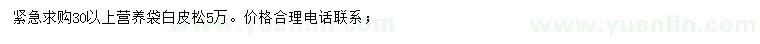 求購(gòu)30公分以上白皮松