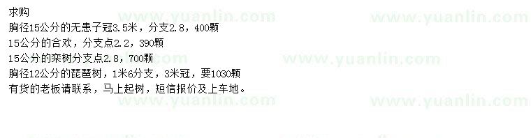 求購無患子、合歡、欒樹等