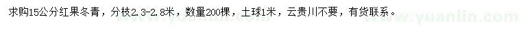 求購15公分紅果冬青