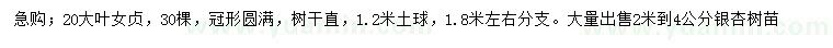 求購20公分大葉女貞
