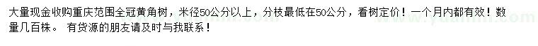 求購米徑50公分以上黃桷樹