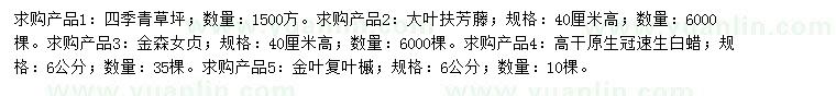 求購(gòu)四季青草坪、大葉扶芳藤、金森女貞等