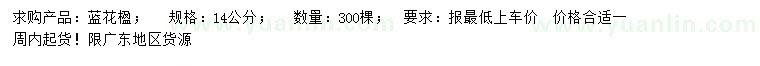 求購14公分藍(lán)花楹