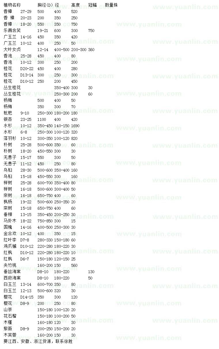 求購香樟、樂昌含笑、廣玉蘭等