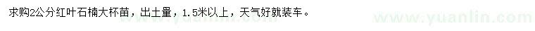 求購2公分紅葉石楠大杯苗