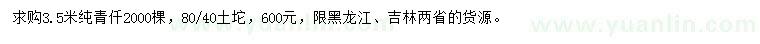求購3.5米純青仟云杉