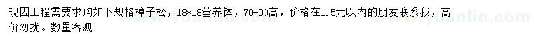 求購70-90公分高樟子松