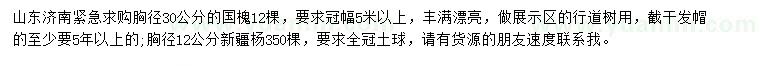 求購胸徑30公分國槐、胸徑12公分新疆楊