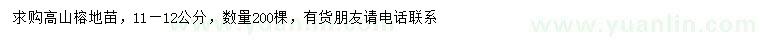 求購11-12公分高山榕