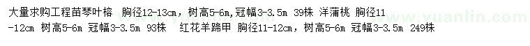 求購琴葉榕、洋蒲桃、紅花羊蹄甲等