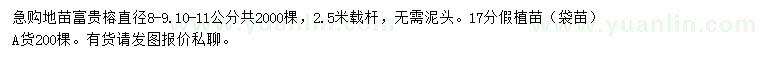 求購直徑8-9、10-11公分、17公分富貴榕