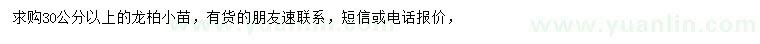 求購(gòu)30公分以上龍柏小苗
