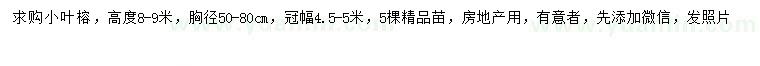 求購胸徑50-80公分小葉榕