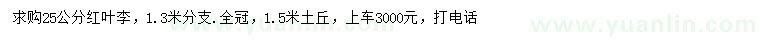求購25公分紅葉李