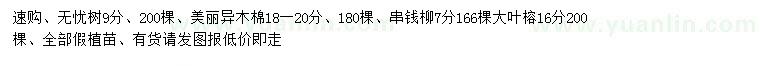 求購無憂樹、美麗異木棉、串錢柳等