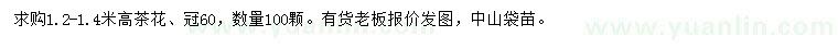 求購1.2-1.4米高茶花