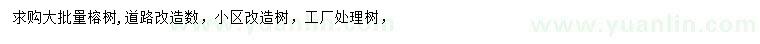 求購榕樹