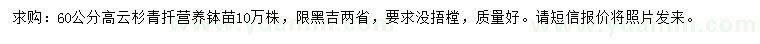 求購(gòu)60公分高云杉青扦