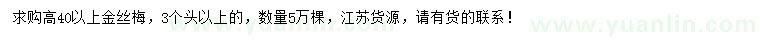 求購高40公分以上金絲梅