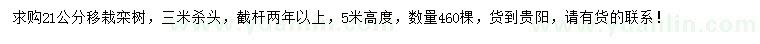 求購21公分移栽欒樹