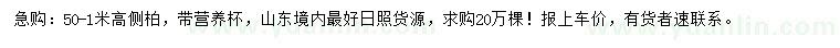 求購(gòu)50-1米高側(cè)柏