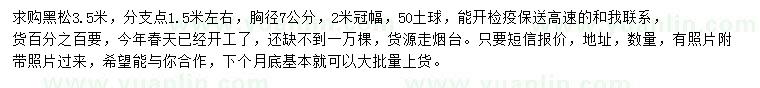求購3.5米黑松