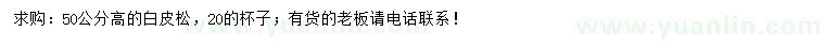 求購(gòu)50公分高白皮松
