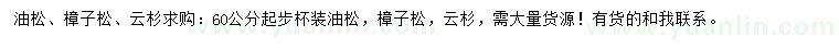 求購油松、樟子松、云杉