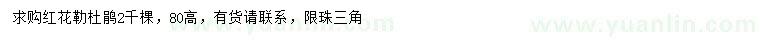 求購80公分紅花勒杜鵑