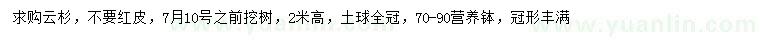 求購2米高云杉