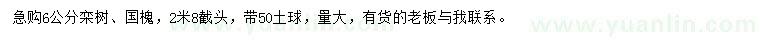 求購6公分欒樹、國槐