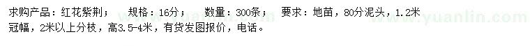 求購16公分紅花紫荊