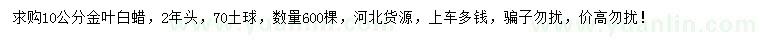 求購(gòu)10公分金葉白蠟