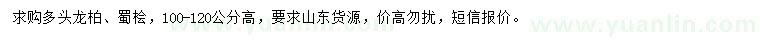 求購(gòu)多頭龍柏、蜀檜
