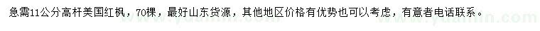求購11公分高桿美國紅楓