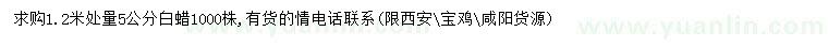 求購1.2米處量5公分白蠟