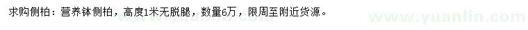 求購高1米側(cè)柏