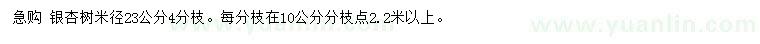 求購(gòu)米徑23公分銀杏樹