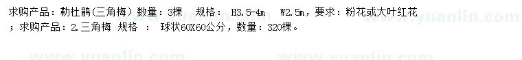 求購(gòu)高3.5-4米勒杜鵑、60X60公分三角梅