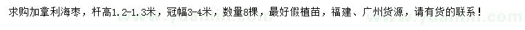 求購桿高1.2-1.3米加拿利海棗