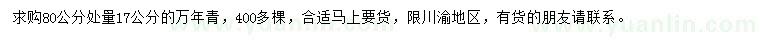 求購(gòu)80公分處量17公分萬(wàn)年青