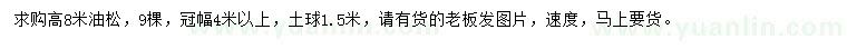 求購高8米油松