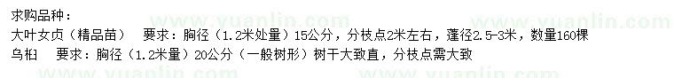 求購(gòu)胸徑15公分大葉女貞、胸徑20公分烏桕