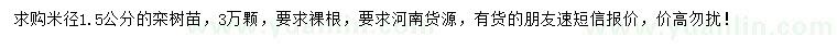 求購(gòu)米徑1.5公分欒樹小苗
